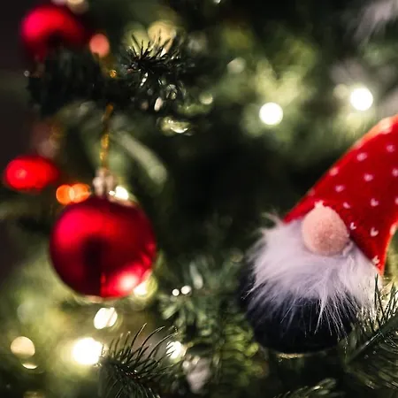 Santa's Closest Neighbor Vila Rovaniemi