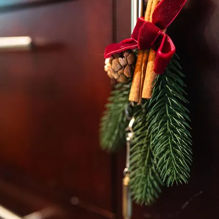 Santa's Closest Neighbor Vila *