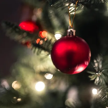 Santa's Closest Neighbor Vila