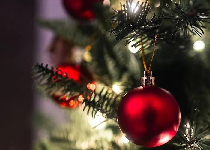 Huvilat Santa's Closest Neighbor