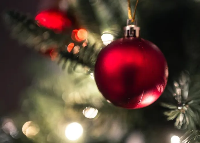 Santa's Closest Neighbor Villa